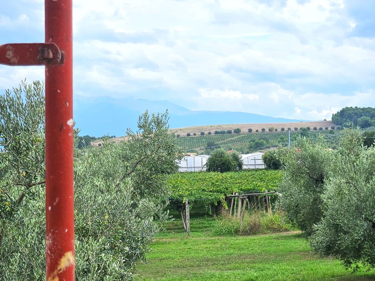 VISTA VERSO MONTAGNA